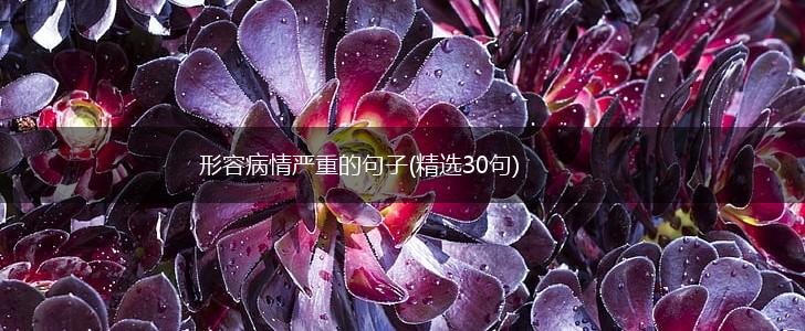 形容病情严重的句子(精选30句),第1张