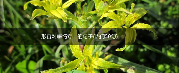 形容对感情专一的句子(热门50句),第1张