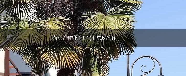 描写合唱的句子(汇总67句),第1张