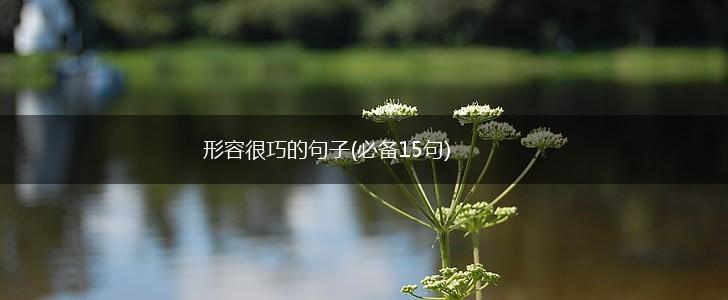 形容很巧的句子(必备15句),第1张
