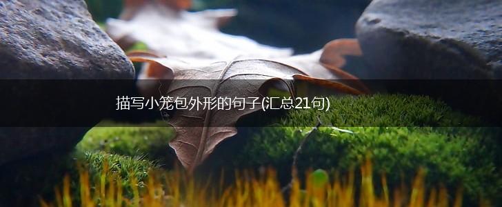 描写小笼包外形的句子(汇总21句),第1张
