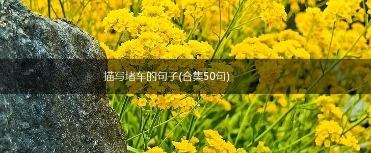描写堵车的句子(合集50句),第1张