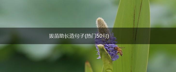 拔苗助长造句子(热门50句),第1张