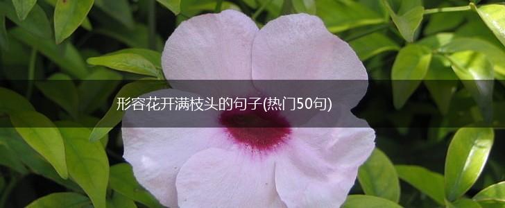 形容花开满枝头的句子(热门50句),第1张