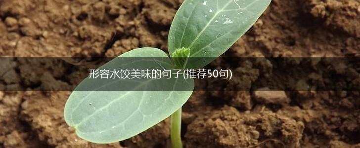 形容水饺美味的句子(推荐50句),第1张