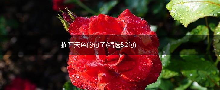 描写天色的句子(精选52句),第1张