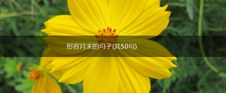 形容月末的句子(共50句),第1张