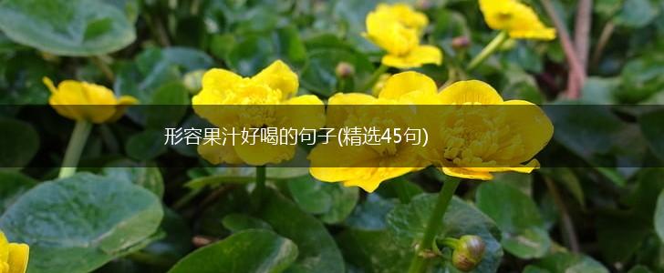 形容果汁好喝的句子(精选45句),第1张