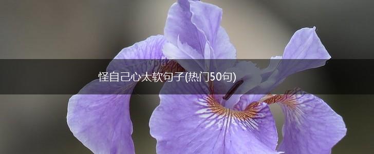 怪自己心太软句子(热门50句),第1张