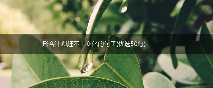 形容计划赶不上变化的句子(优选50句),第1张