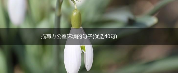 描写办公室环境的句子(优选40句),第1张