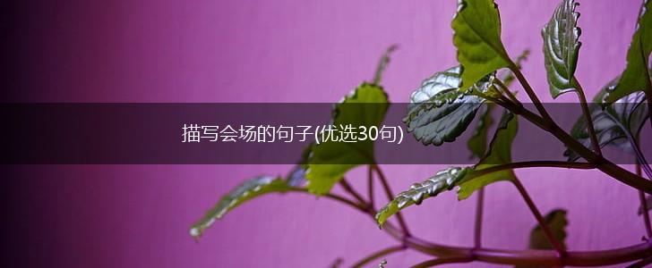 描写会场的句子(优选30句),第1张