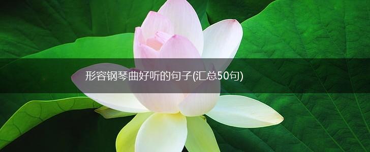 形容钢琴曲好听的句子(汇总50句),第1张