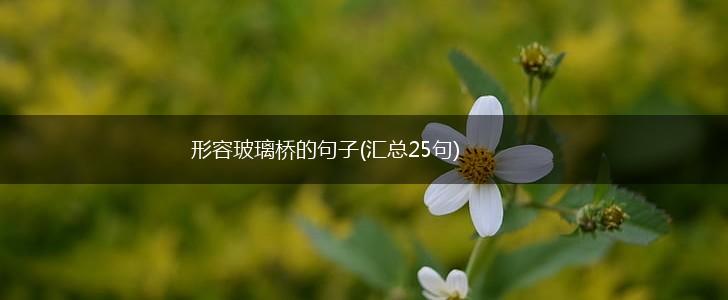 形容玻璃桥的句子(汇总25句),第1张