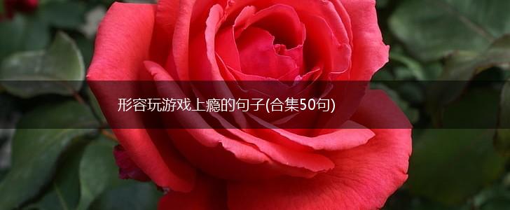 形容玩游戏上瘾的句子(合集50句),第1张