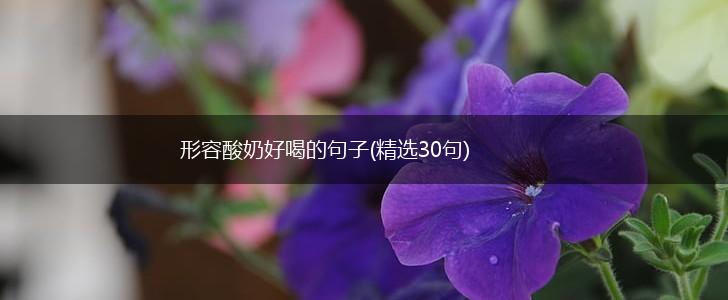 形容酸奶好喝的句子(精选30句),第1张