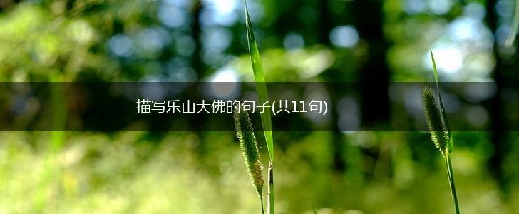 描写乐山大佛的句子(共11句),第1张