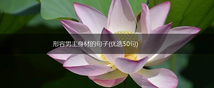 形容男主身材的句子(优选50句),第1张