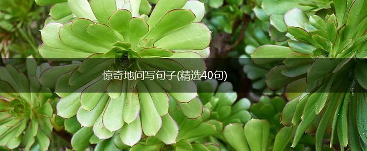 惊奇地问写句子(精选40句),第1张