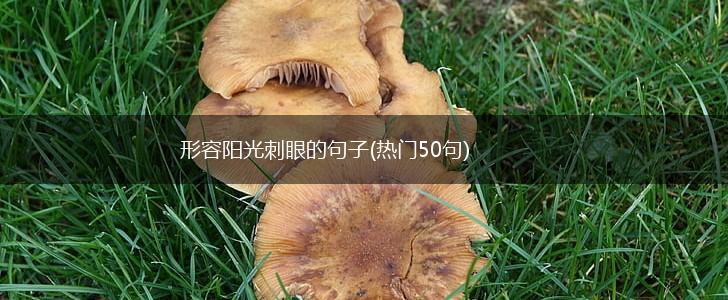 形容阳光刺眼的句子(热门50句),第1张