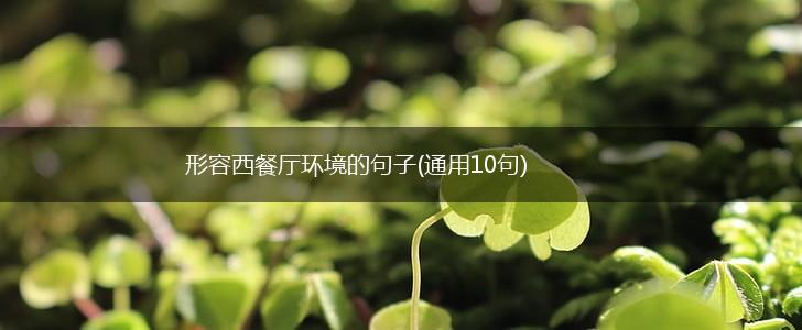形容西餐厅环境的句子(通用10句),第1张