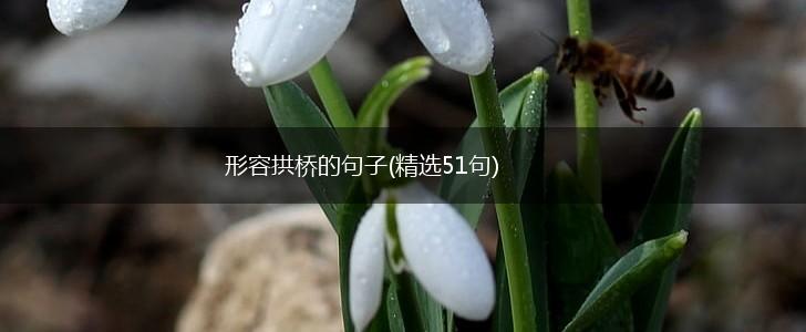 形容拱桥的句子(精选51句),第1张