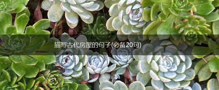 描写古代房屋的句子(必备20句),第1张