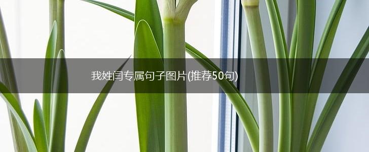 我姓闫专属句子图片(推荐50句),第1张 我姓闫专属句子图片(推荐50句),第1张