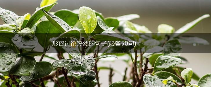 形容讨论热烈的句子(必备50句),第1张