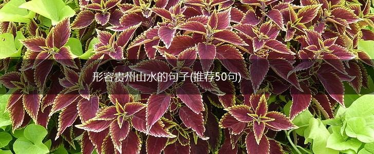 形容贵州山水的句子(推荐50句),第1张