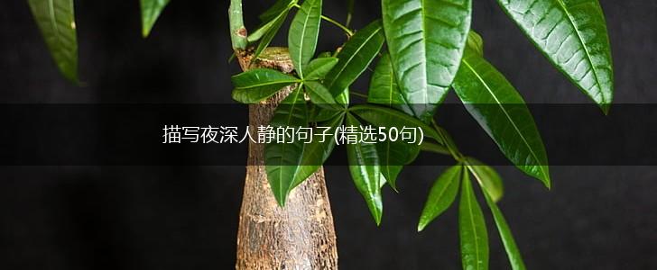 描写夜深人静的句子(精选50句),第1张