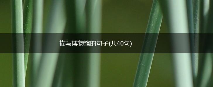 描写博物馆的句子(共40句),第1张