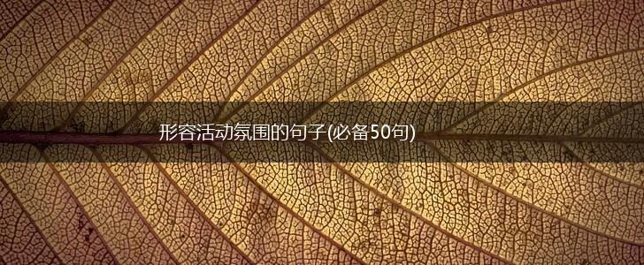 形容活动氛围的句子(必备50句),第1张