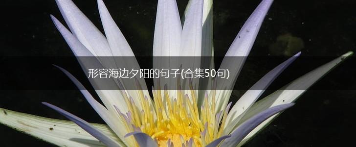 形容海边夕阳的句子(合集50句),第1张