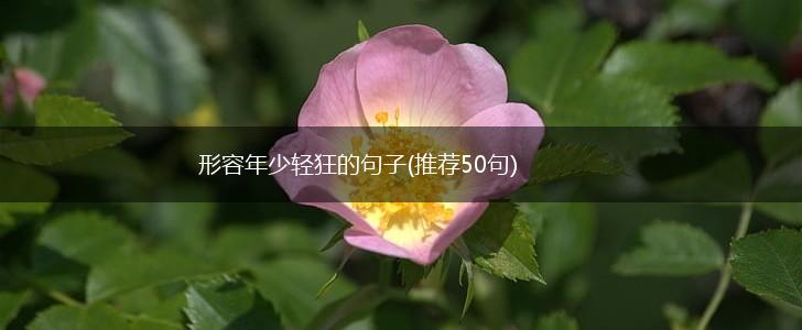 形容年少轻狂的句子(推荐50句),第1张
