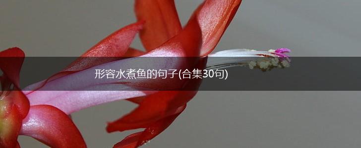 形容水煮鱼的句子(合集30句),第1张 形容水煮鱼的句子(合集30句),第1张