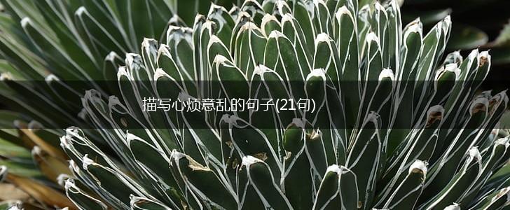描写心烦意乱的句子(21句),第1张