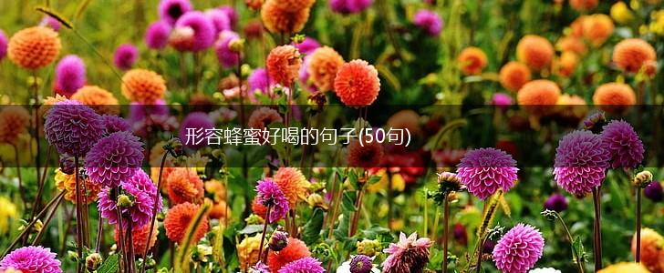 形容蜂蜜好喝的句子(50句),第1张