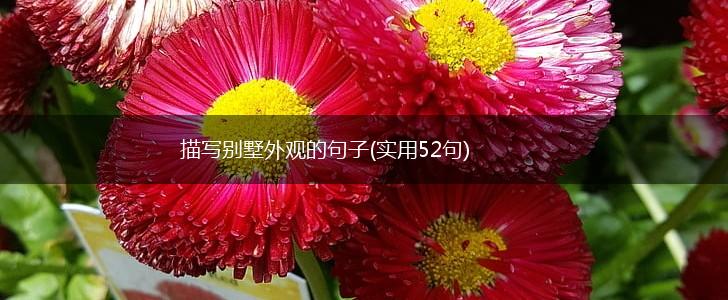 描写别墅外观的句子(实用52句),第1张