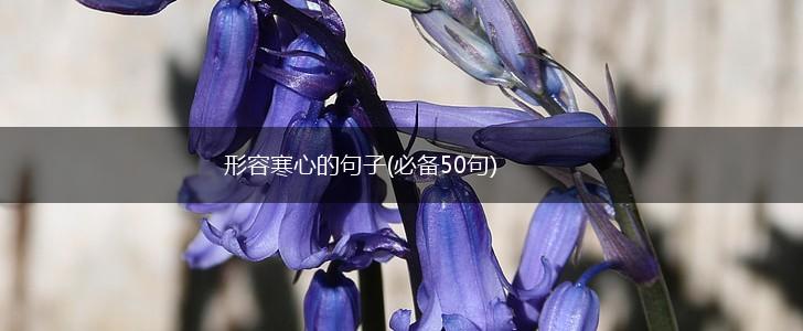 形容寒心的句子(必备50句),第1张