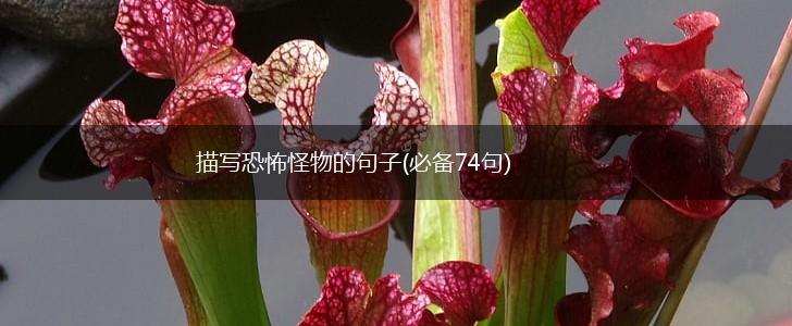 描写恐怖怪物的句子(必备74句),第1张
