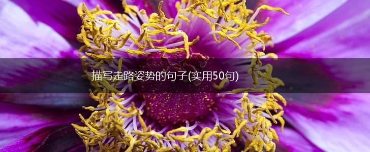 描写走路姿势的句子(实用50句),第1张