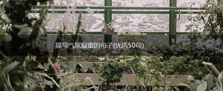 描写气氛凝重的句子(优选50句),第1张