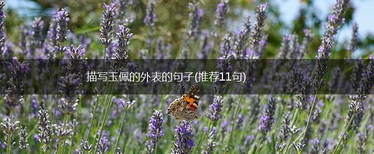 描写玉佩的外表的句子(推荐11句),第1张