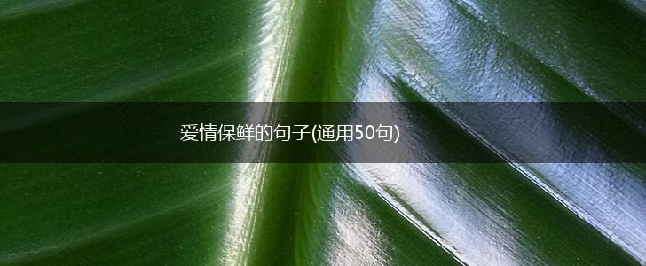 爱情保鲜的句子(通用50句),第1张
