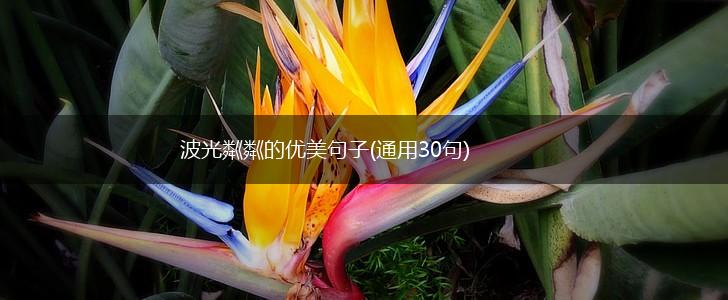 波光粼粼的优美句子(通用30句),第1张