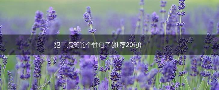犯二搞笑的个性句子(推荐20句),第1张