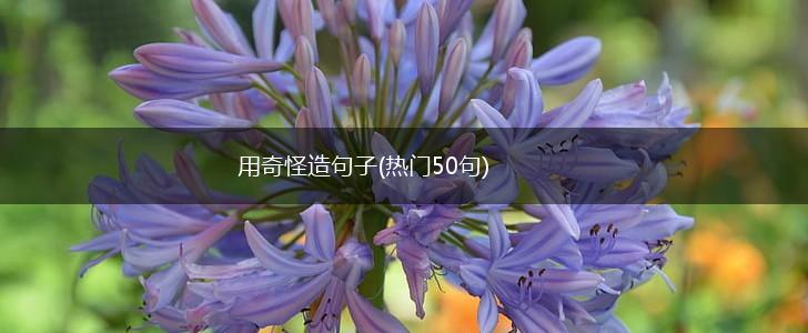 用奇怪造句子(热门50句),第1张