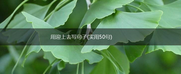 用迎上去写句子(实用50句)