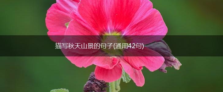 描写秋天山景的句子(通用42句),第1张